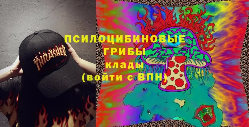 Галлюциногенные грибы Magic Shrooms  Ноябрьск 